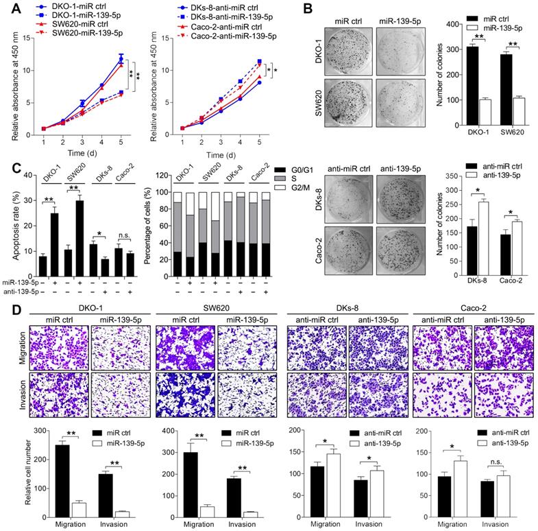 KRAS Mutation-Responsive miR-139-5p inhibits Colorectal Cancer ...