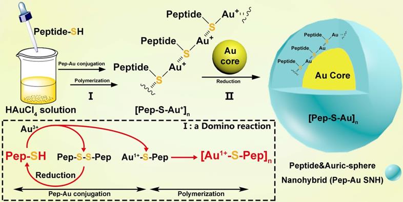 A General Purpose Nanohybrid Fabricated By Polymeric Au I Peptide Precursor To Wake The Function Of Peptide Therapeutics