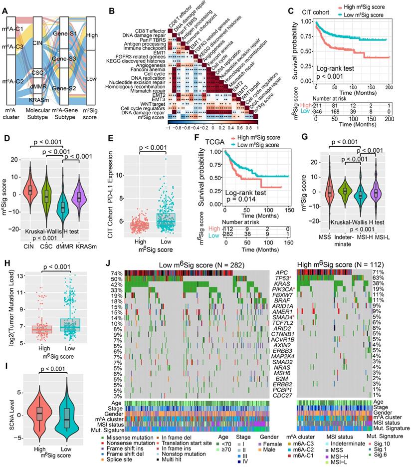 M6a Regulator Based Methylation Modification Patterns Characterized By Distinct Tumor Microenvironment Immune Profiles In Colon Cancer