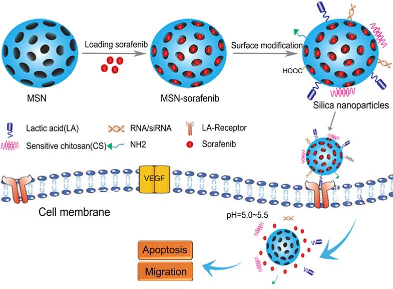 Current status of sorafenib nanoparticle delivery systems in the 