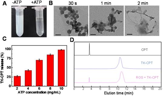 ATP-triggered mitochondrial cascade reactions for cancer therapy with ...