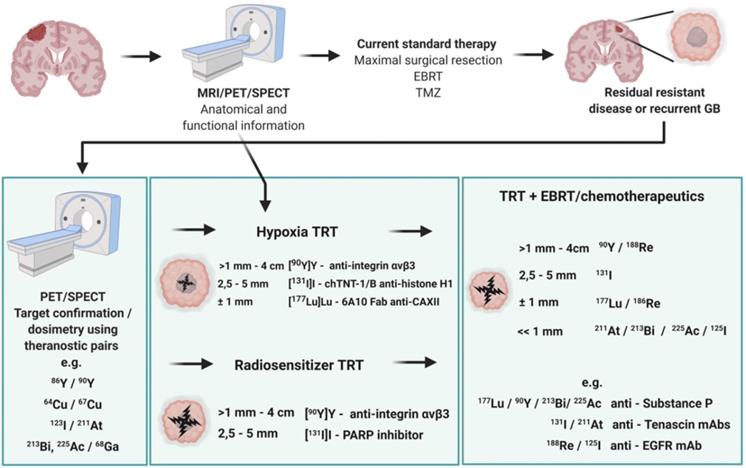 A Perspective On The Radiopharmaceutical Requirements For Imaging And Therapy Of Glioblastoma