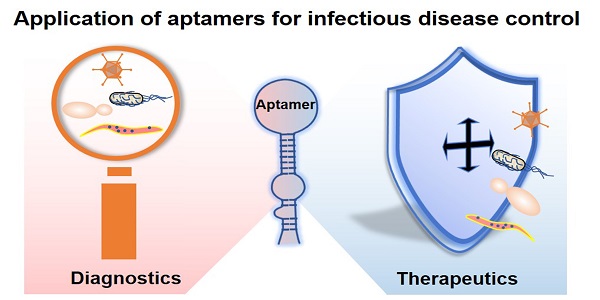 oligonucleotide aptamers for pathogen detection and infectious disease control