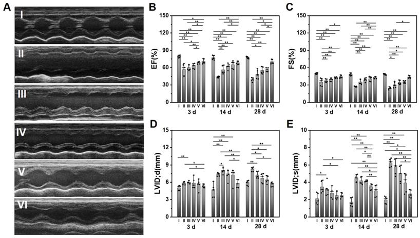 An MMP-degradable and conductive hydrogel to stabilize HIF-1α for ...