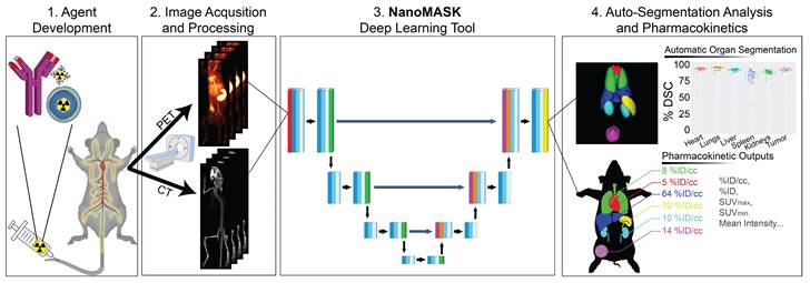 Theranostics Image