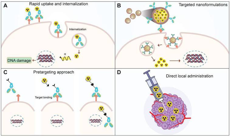 Theranostics Image