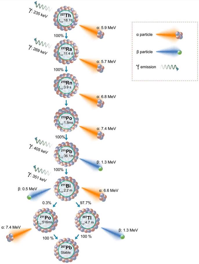 Theranostics Image