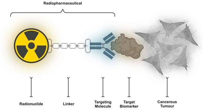 Theranostics Image