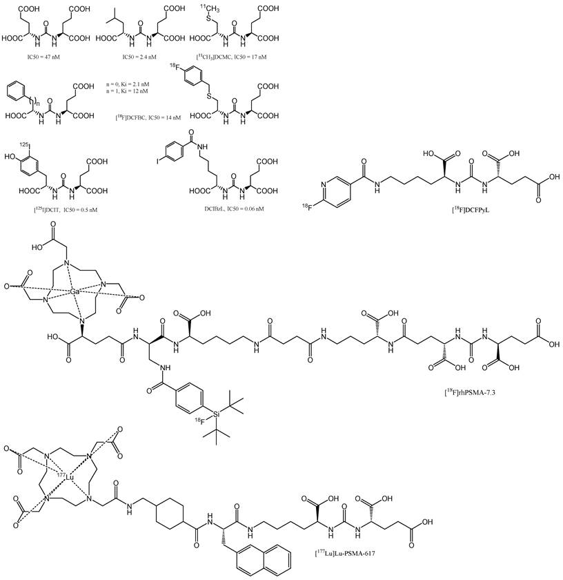 Theranostics Image