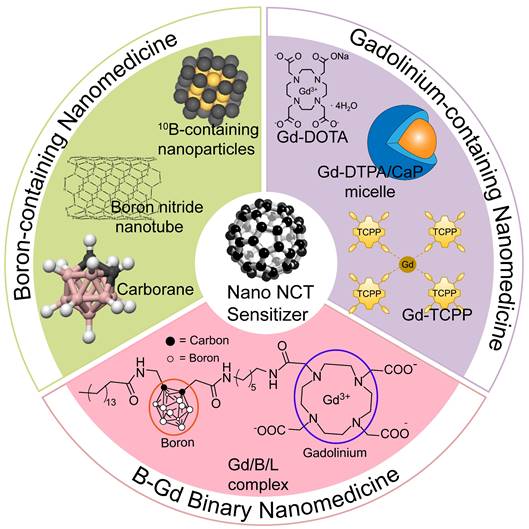 Theranostics Image