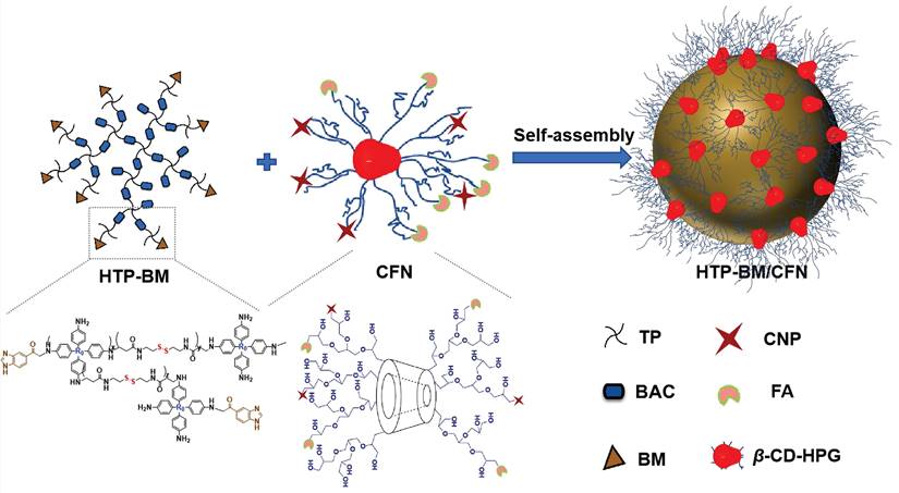 Theranostics Image