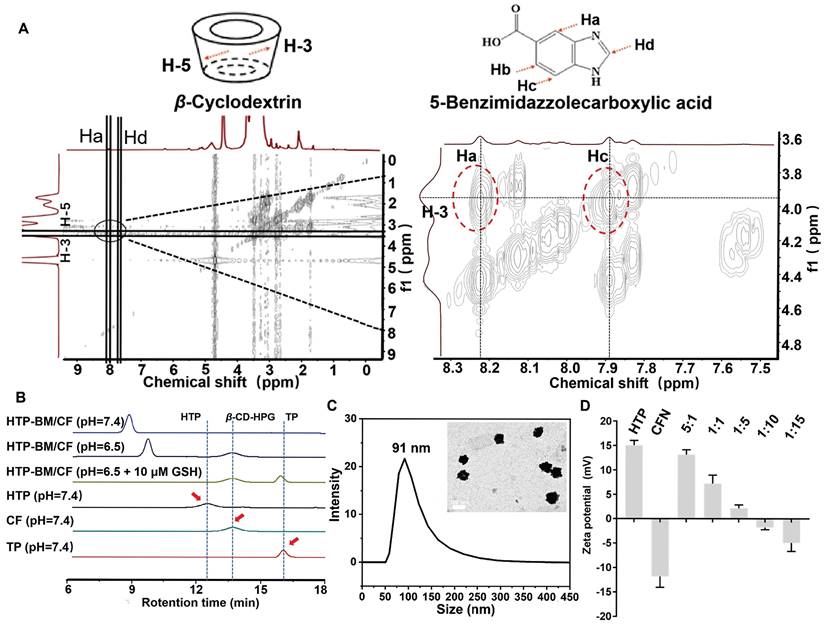Theranostics Image