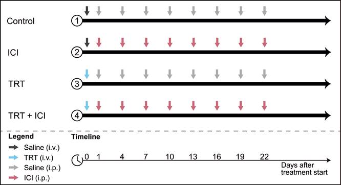 Theranostics Image