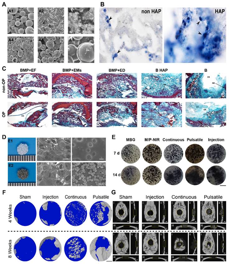 Theranostics Image