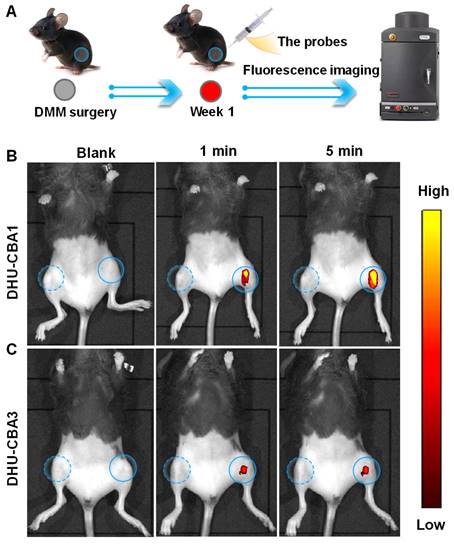 Theranostics Image