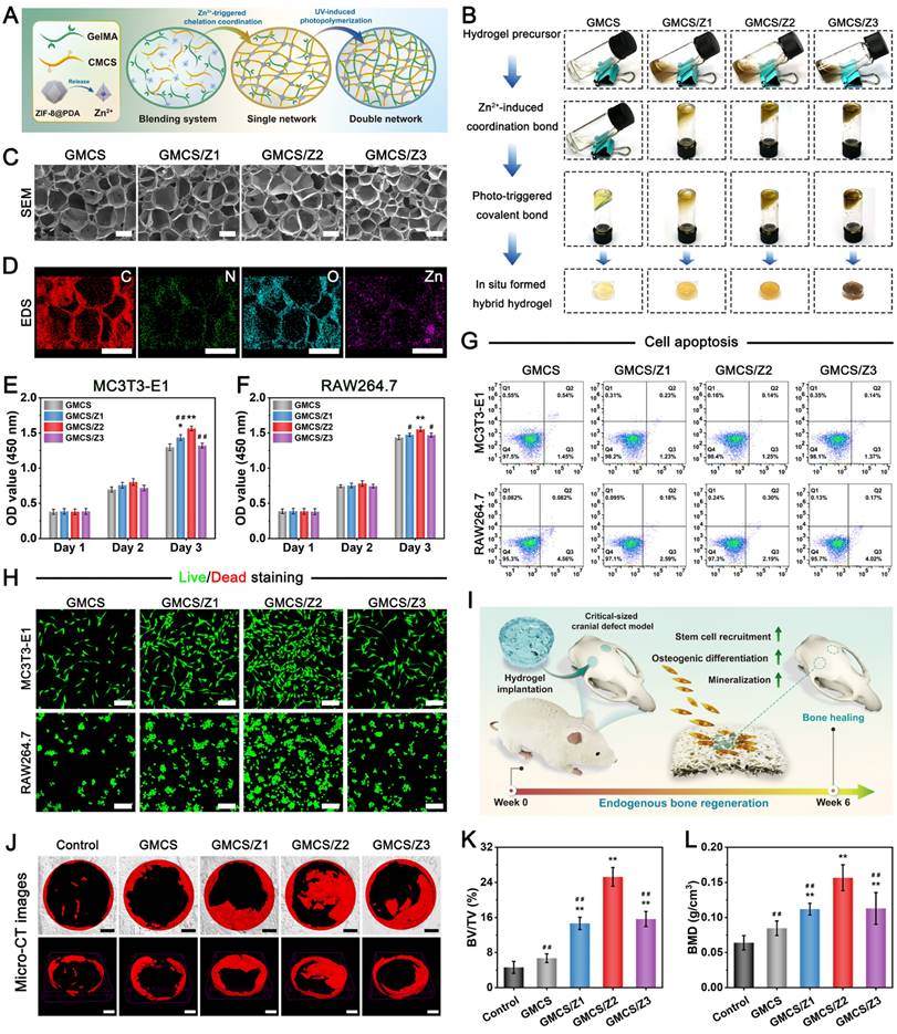 Theranostics Image