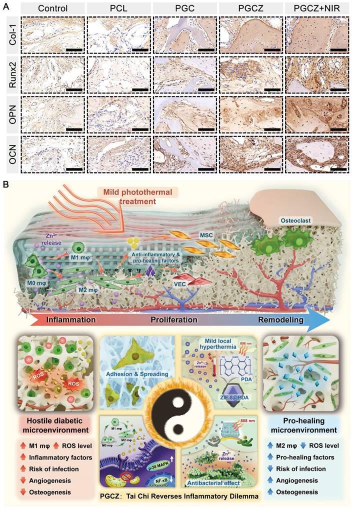 Theranostics Image