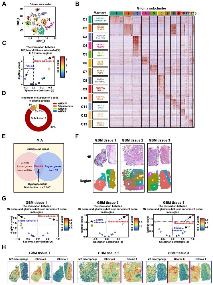 Theranostics Image