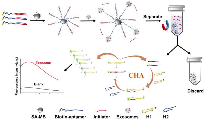 Theranostics Image