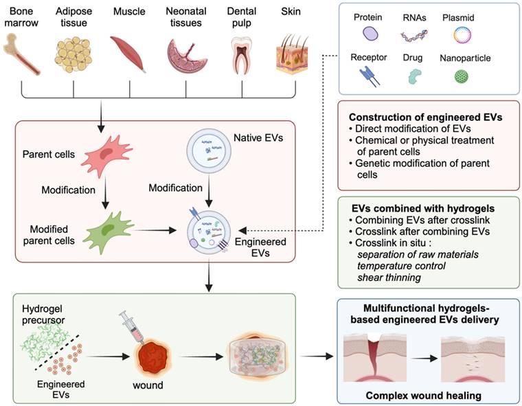 Theranostics Image