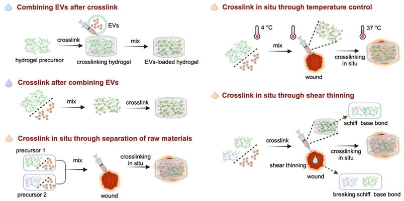 Theranostics Image