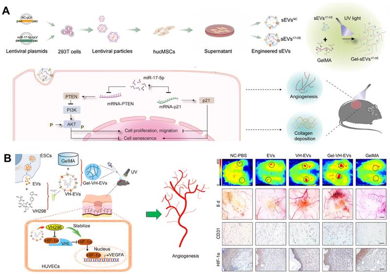 Theranostics Image