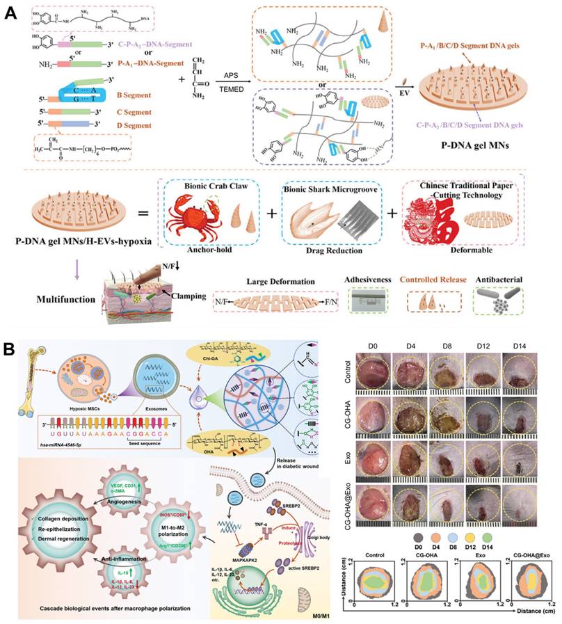 Theranostics Image