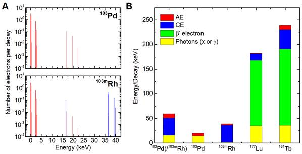 Theranostics Image