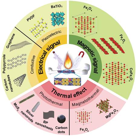 Theranostics Image