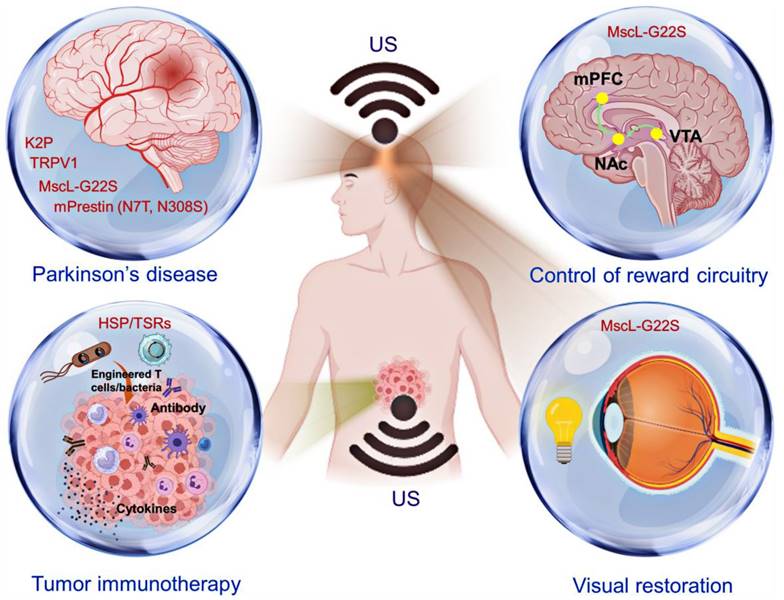 Theranostics Image