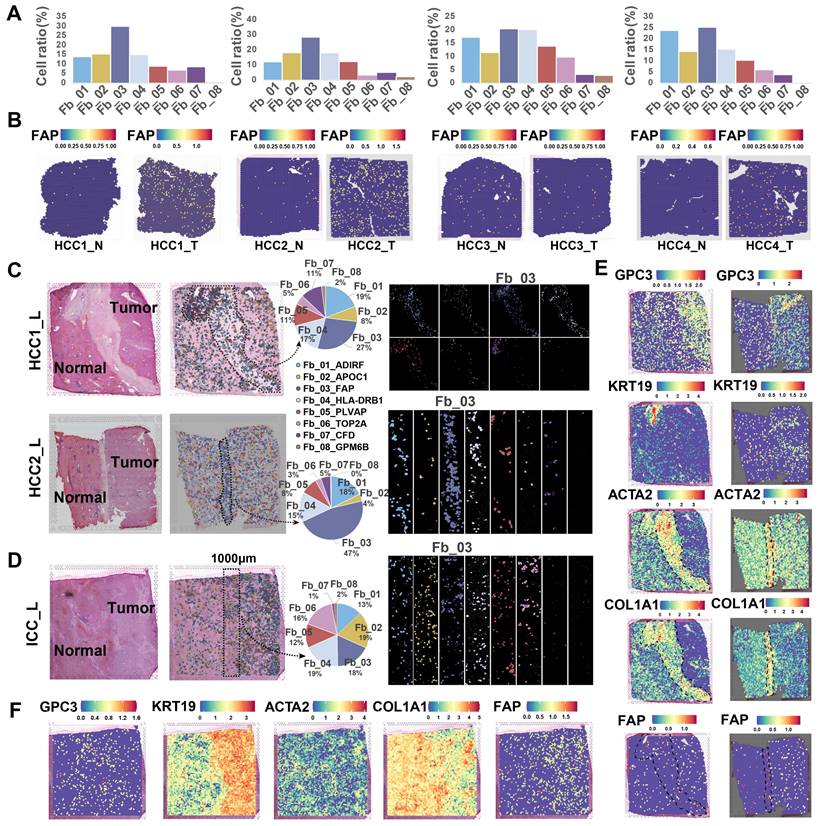 Theranostics Image