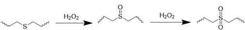 Theranostics inline graphic