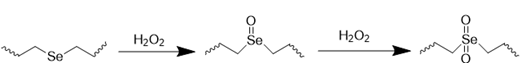 Theranostics inline graphic