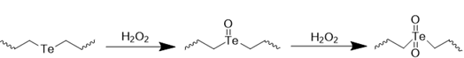 Theranostics inline graphic