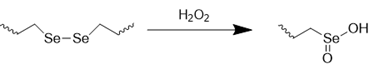 Theranostics inline graphic