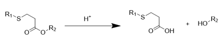 Theranostics inline graphic