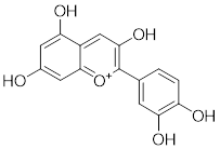 Theranostics inline graphic