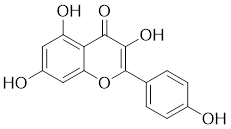 Theranostics inline graphic