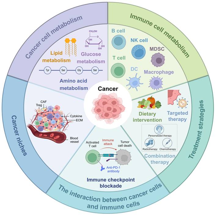 Theranostics Image