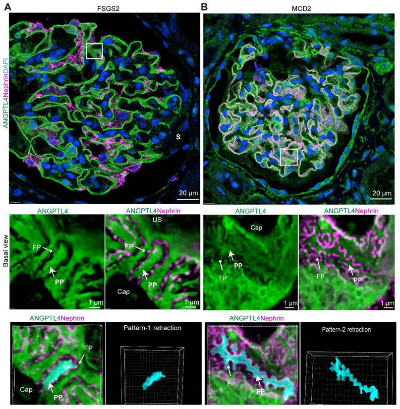 Theranostics Image