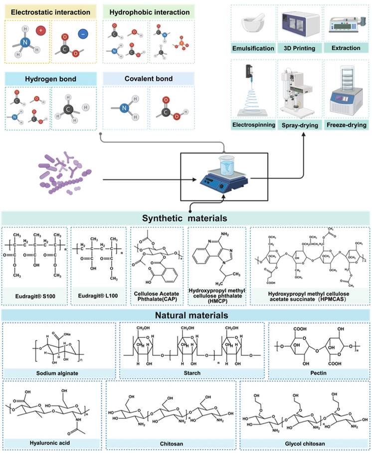 Theranostics Image