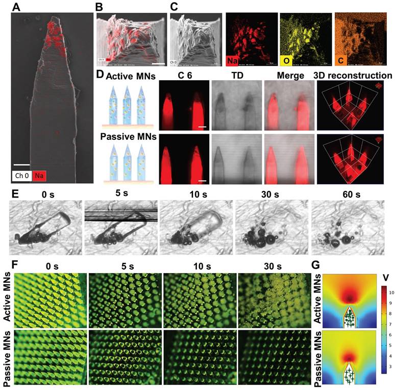 Theranostics Image