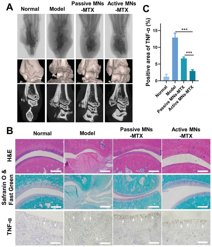 Theranostics Image