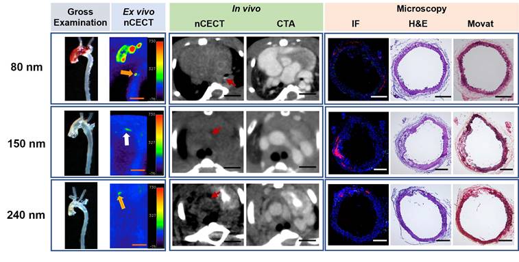 Theranostics Image