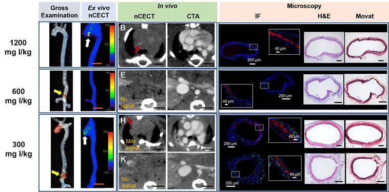 Theranostics Image