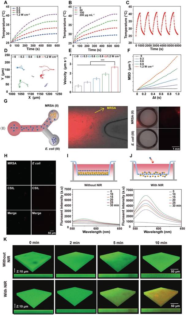 Theranostics Image