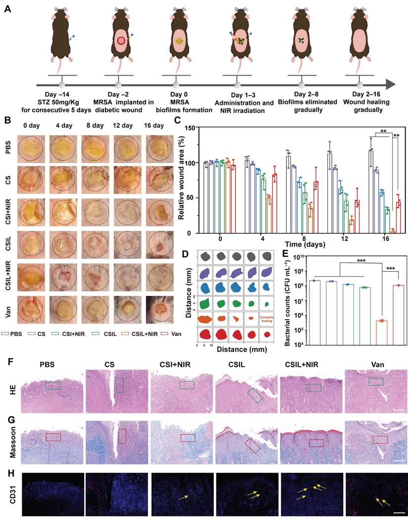 Theranostics Image