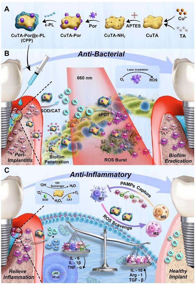 Theranostics Image