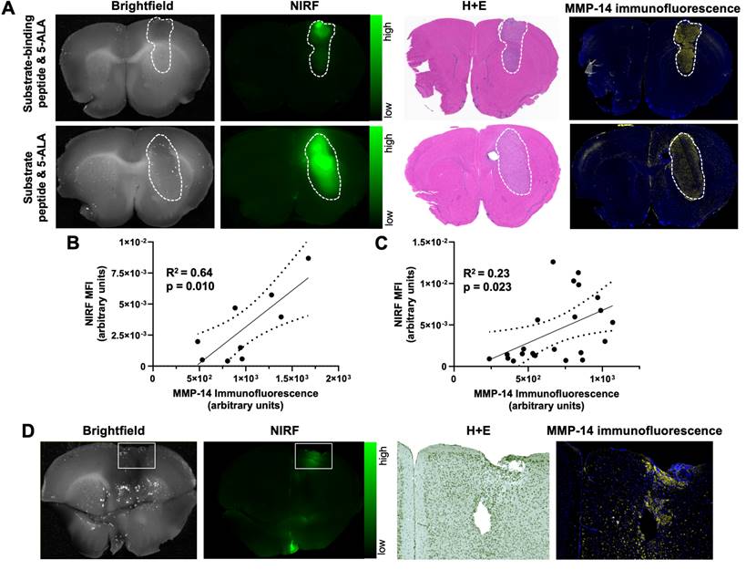 Theranostics Image