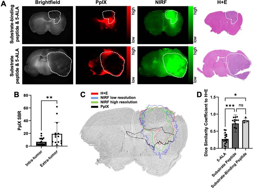 Theranostics Image